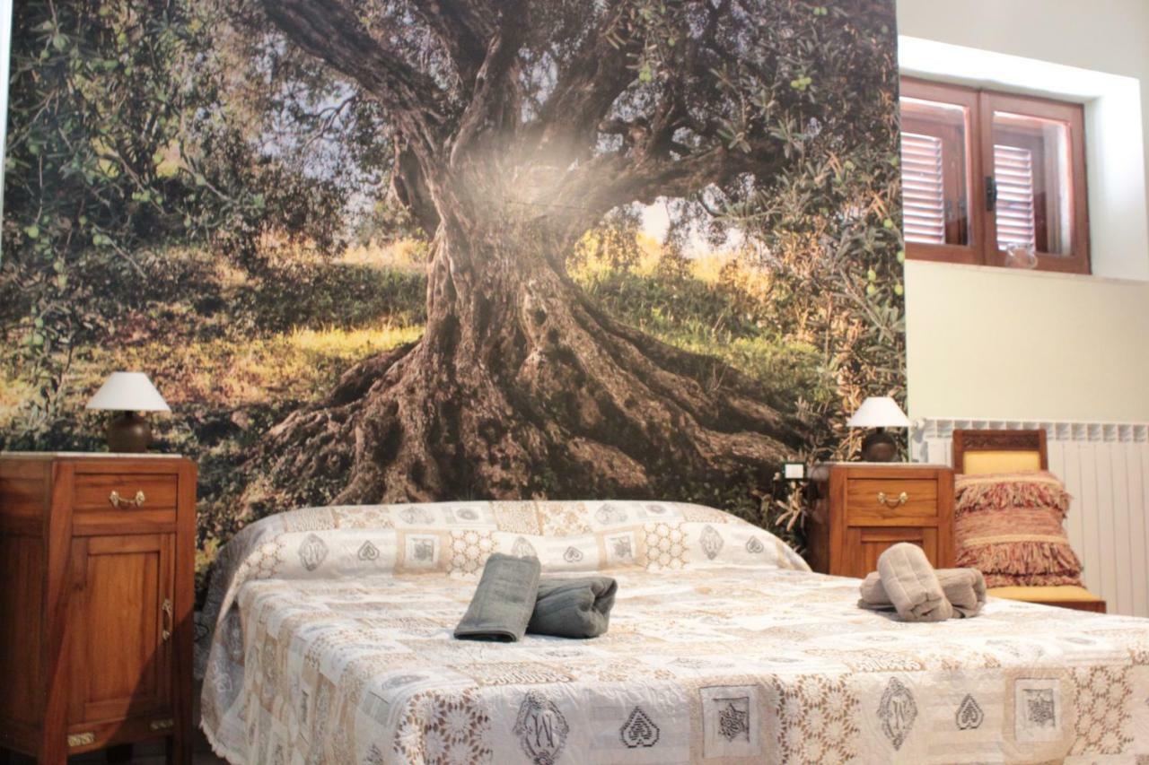Adonis Hotel Castelvecchio Calvisio Buitenkant foto